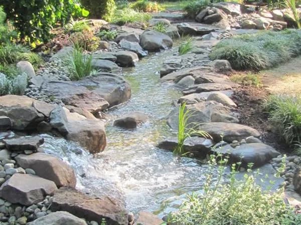 Natural Channel Design
