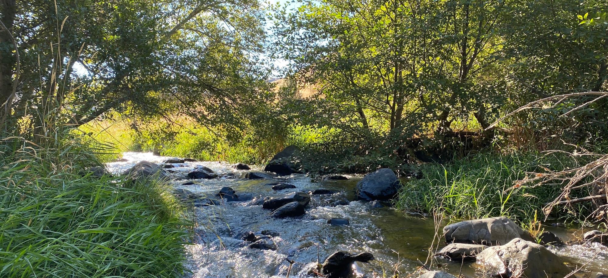 Stream Restoration