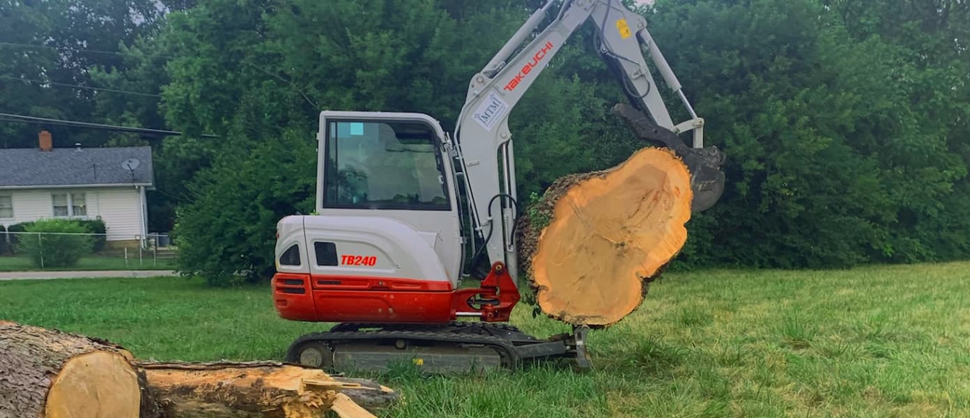 Vegetation Management