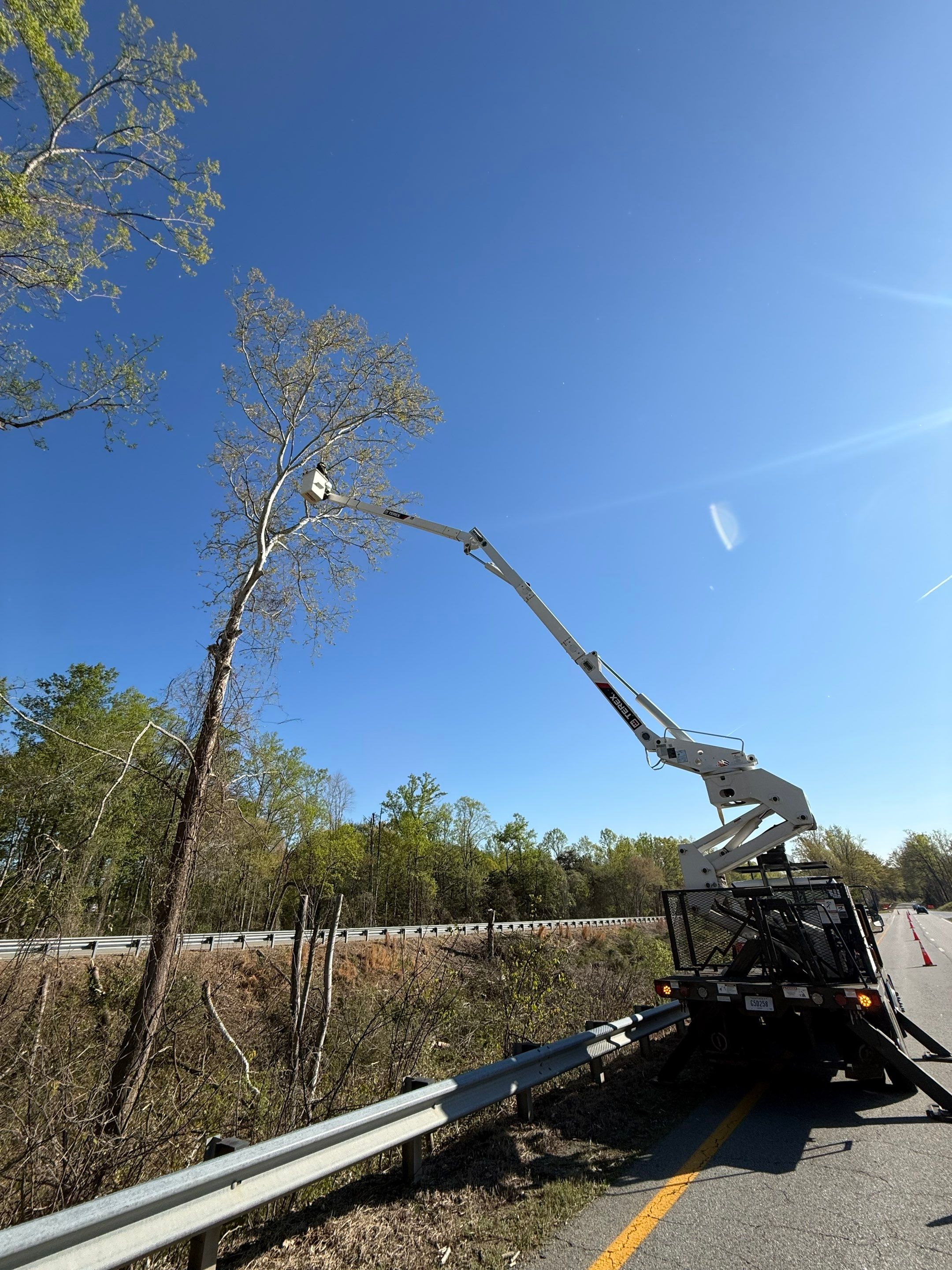Bucket truck reaching full height in trees