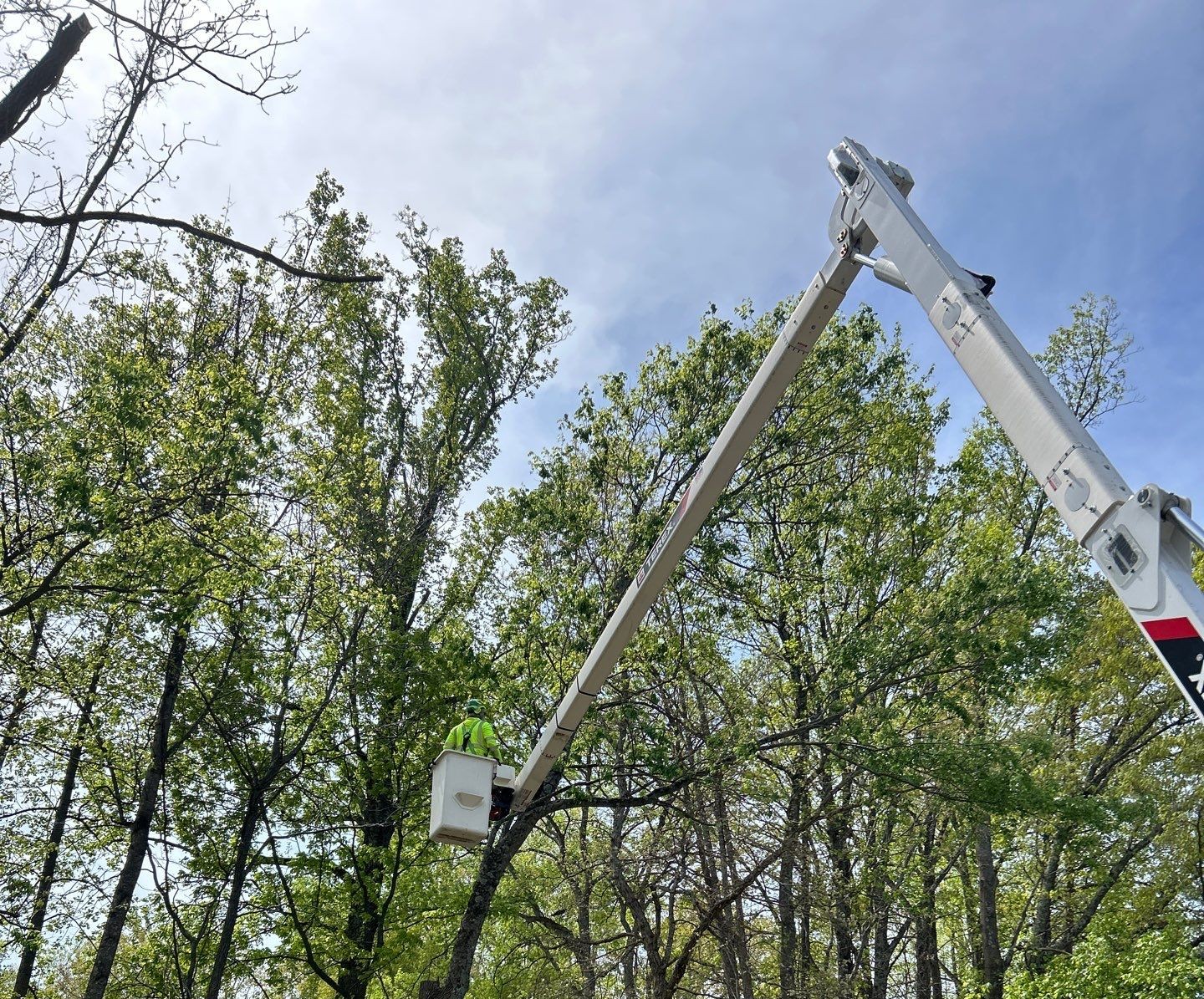 Bucket truck maneuvering in dense vegetation