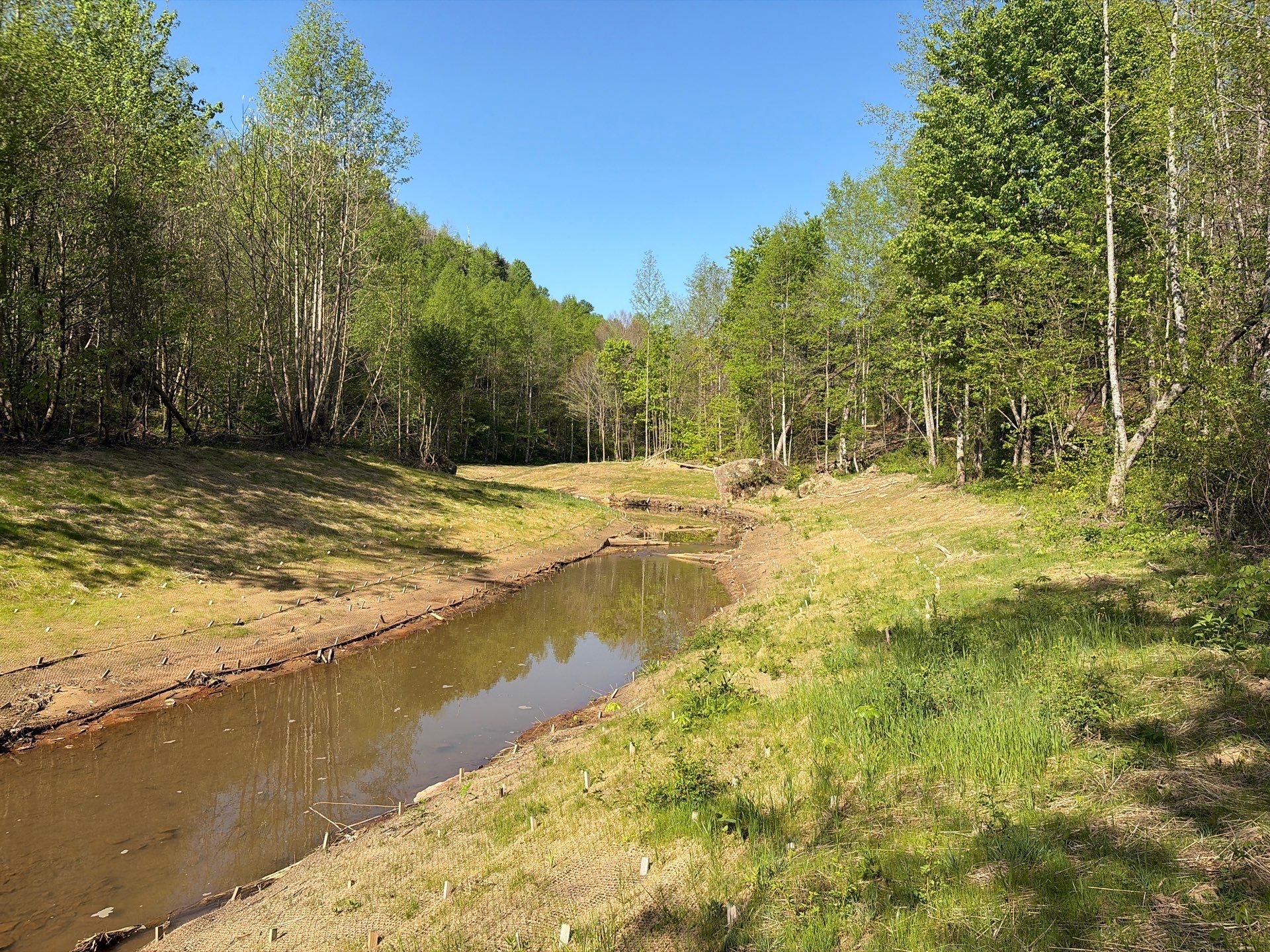 Stream Restoration